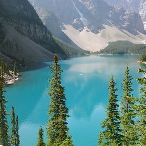 Meet your Posher, Angelica